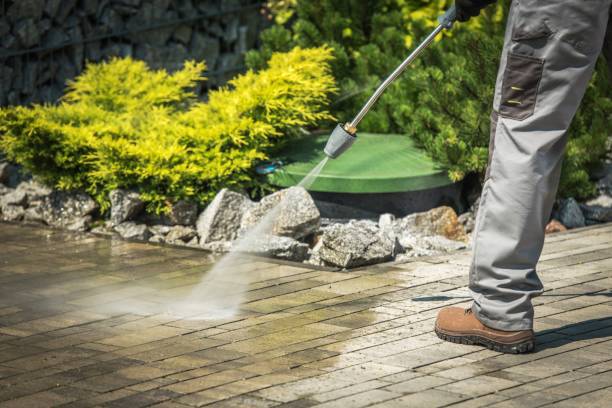 Best Winterizing Services  in Parsons, KS